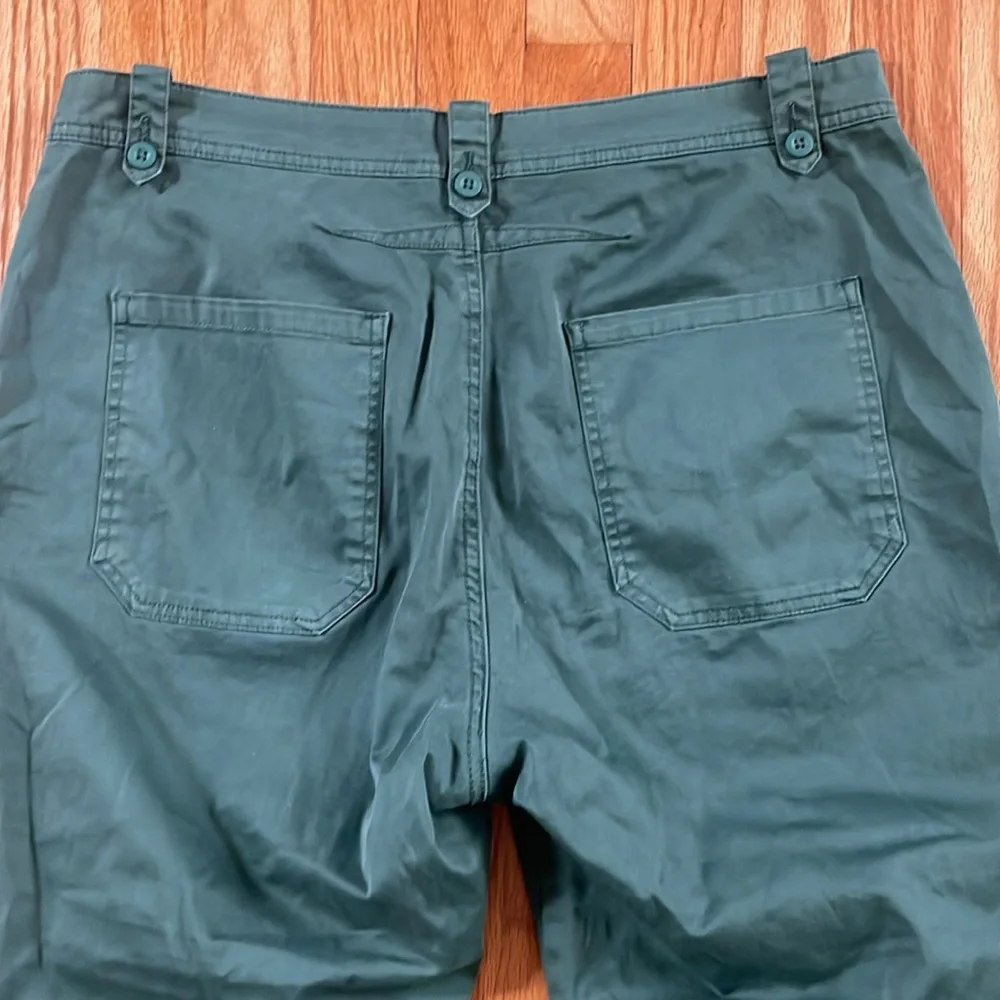 Sundance Womens   Crop Green‎ Pants 10